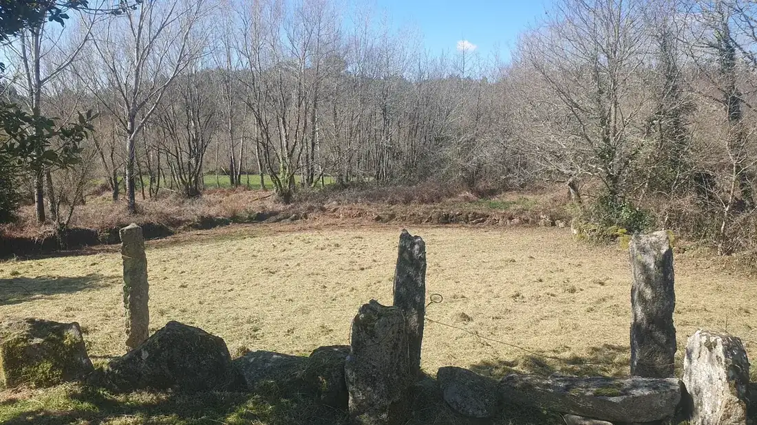 Desbroces de fincas en Ourense – Limpieza de parcelas