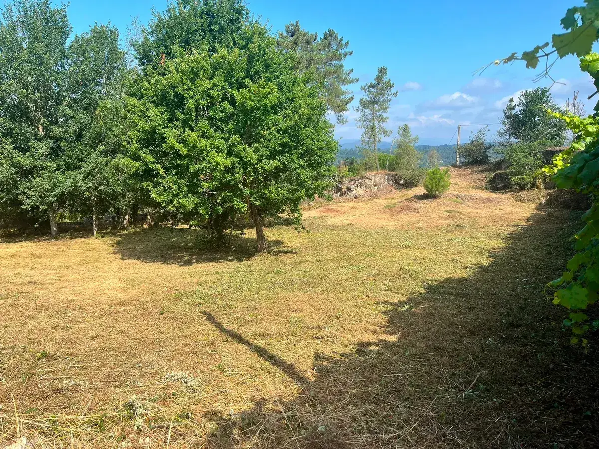 Desbroce de finca en Paderne de Allariz comarca Allariz-Maceda Ourense
