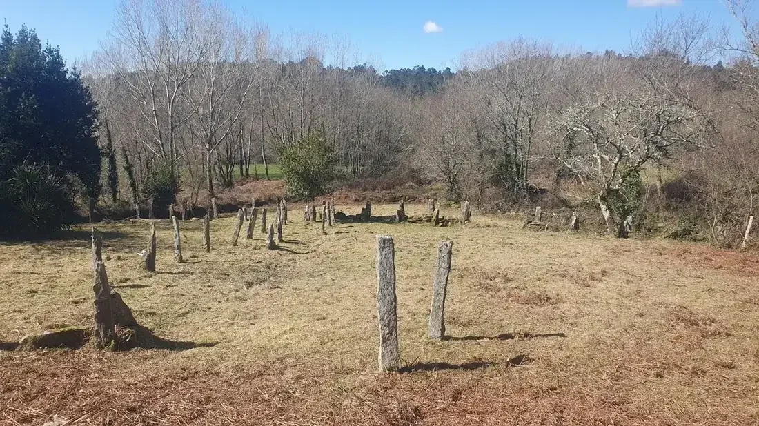 Desbroce de finca en Piñor comarca de O Carballiño Ourense
