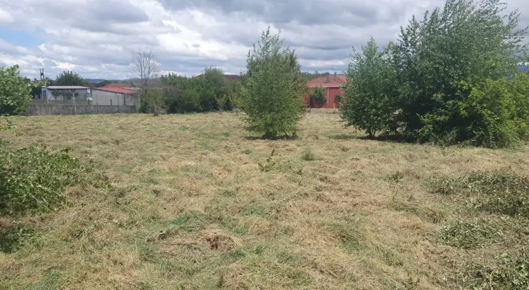 Desbroce de finca en Taboadela comarca de Ourense