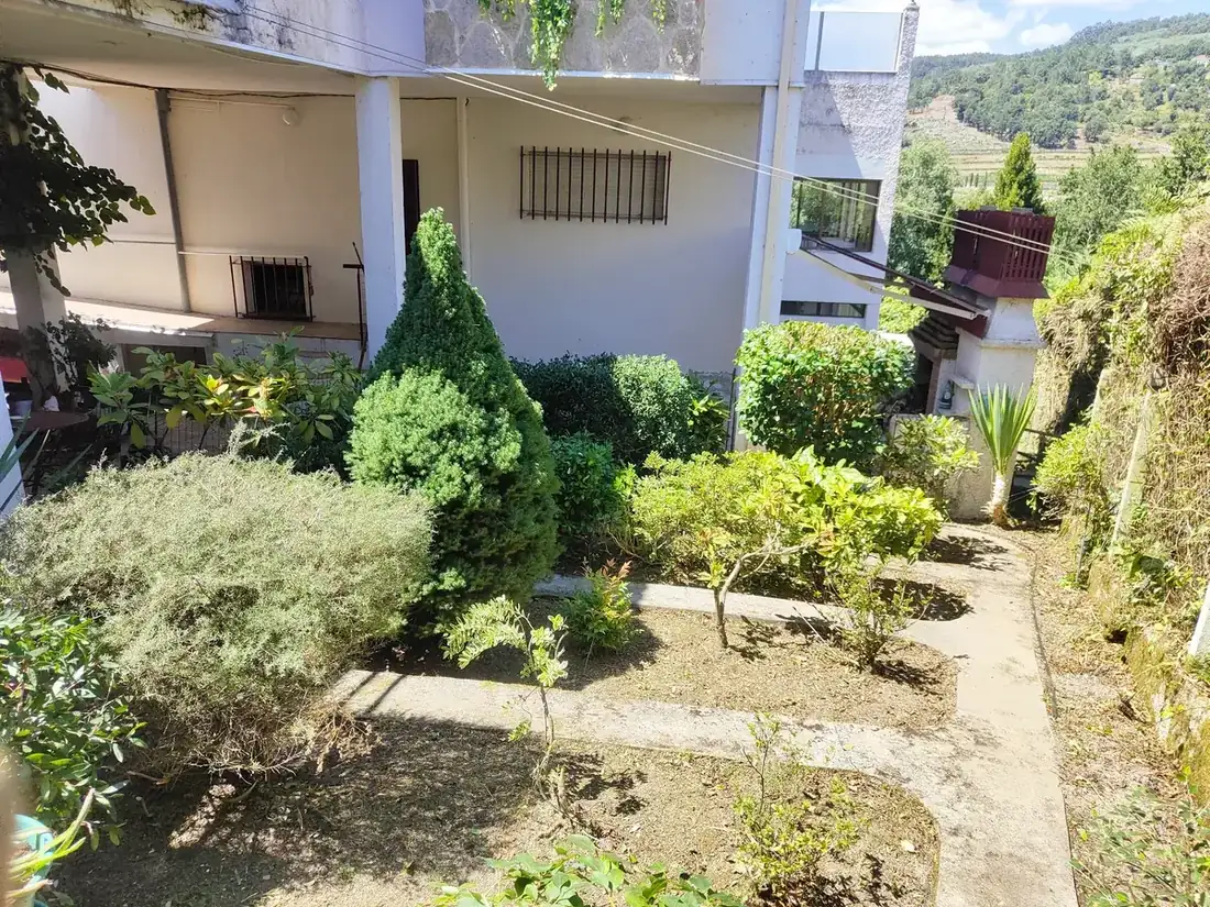 Jardinería profesional en Ourense, poda de arbustos