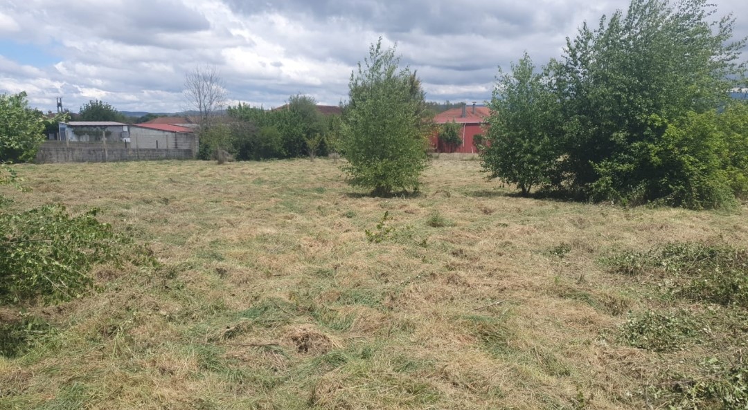 Finca limpia tras desbrozar en Ourense
